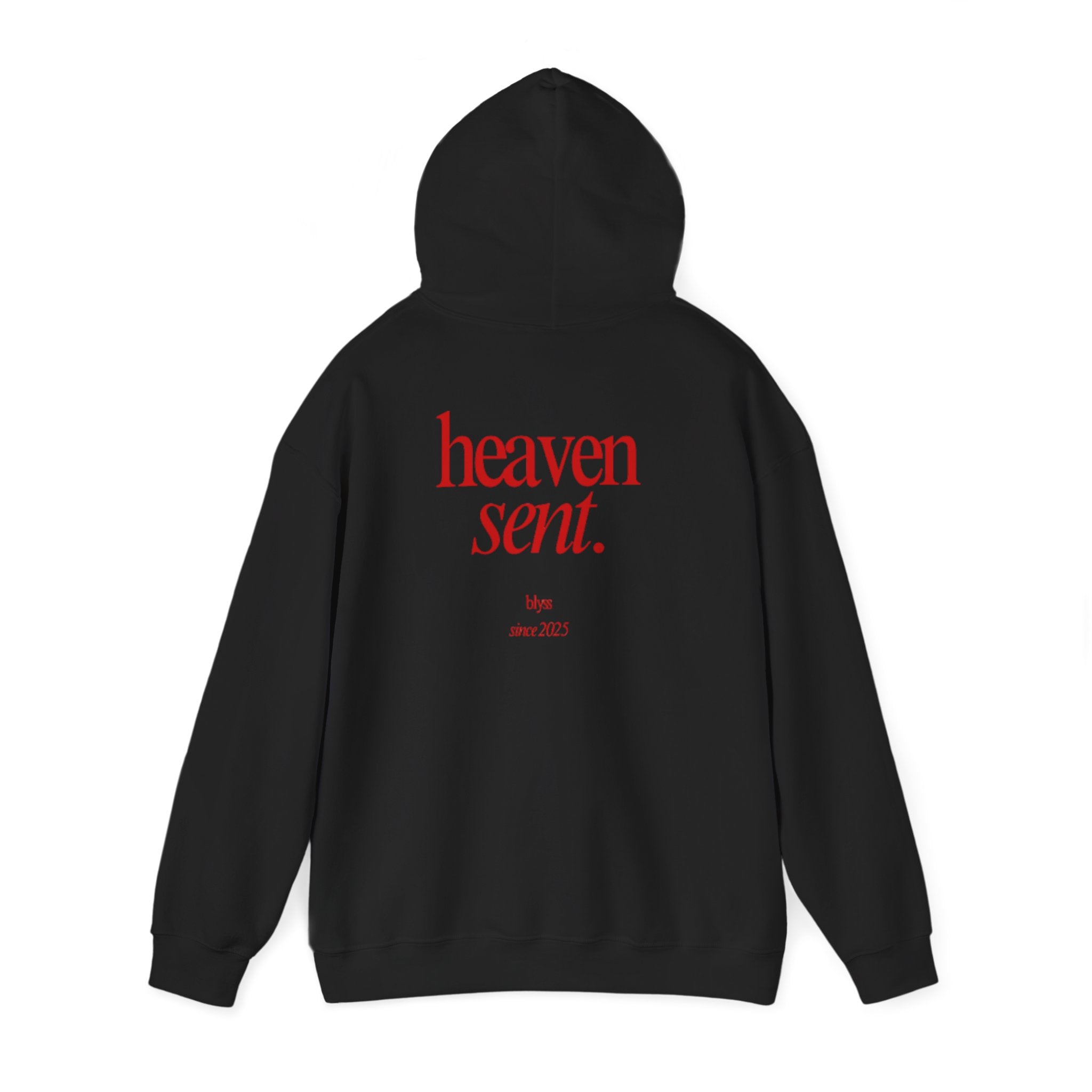 HEAVEN SENT Hoodie