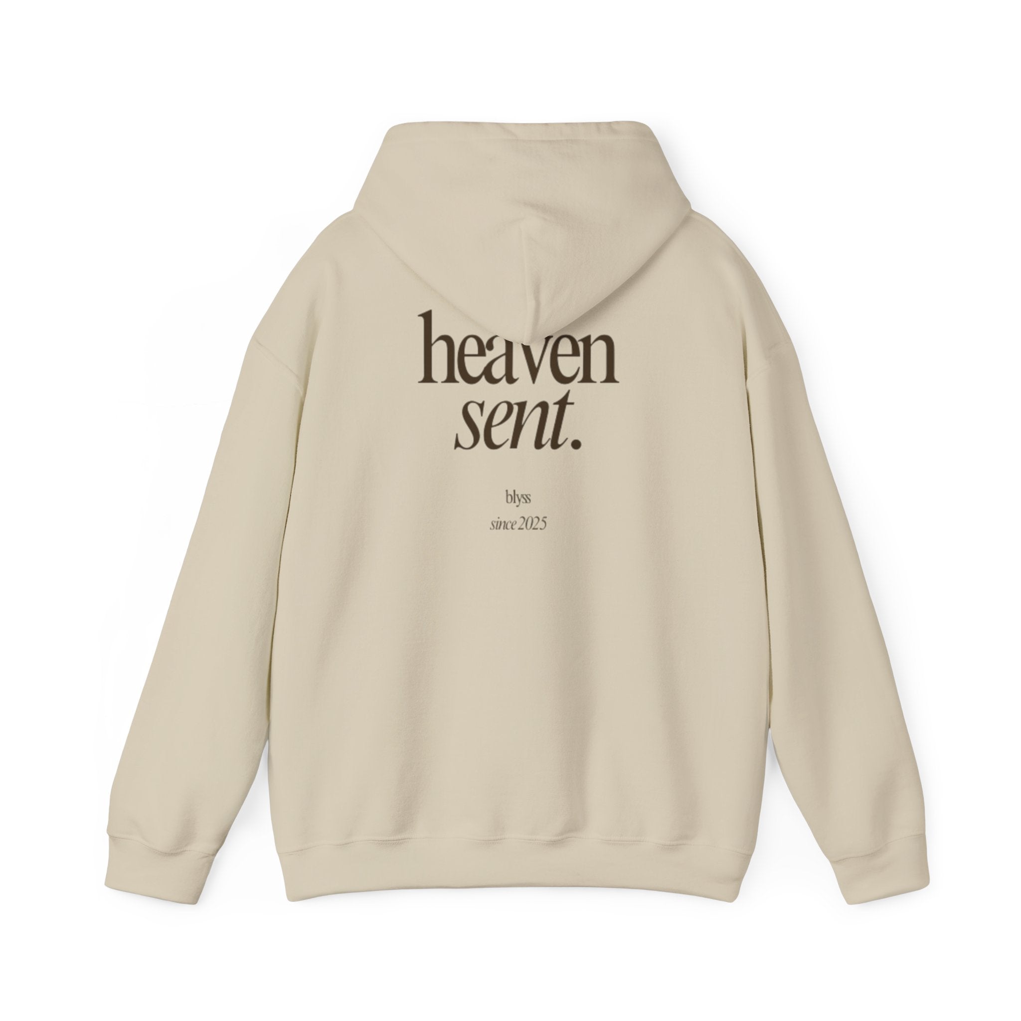HEAVEN SENT Hoodie