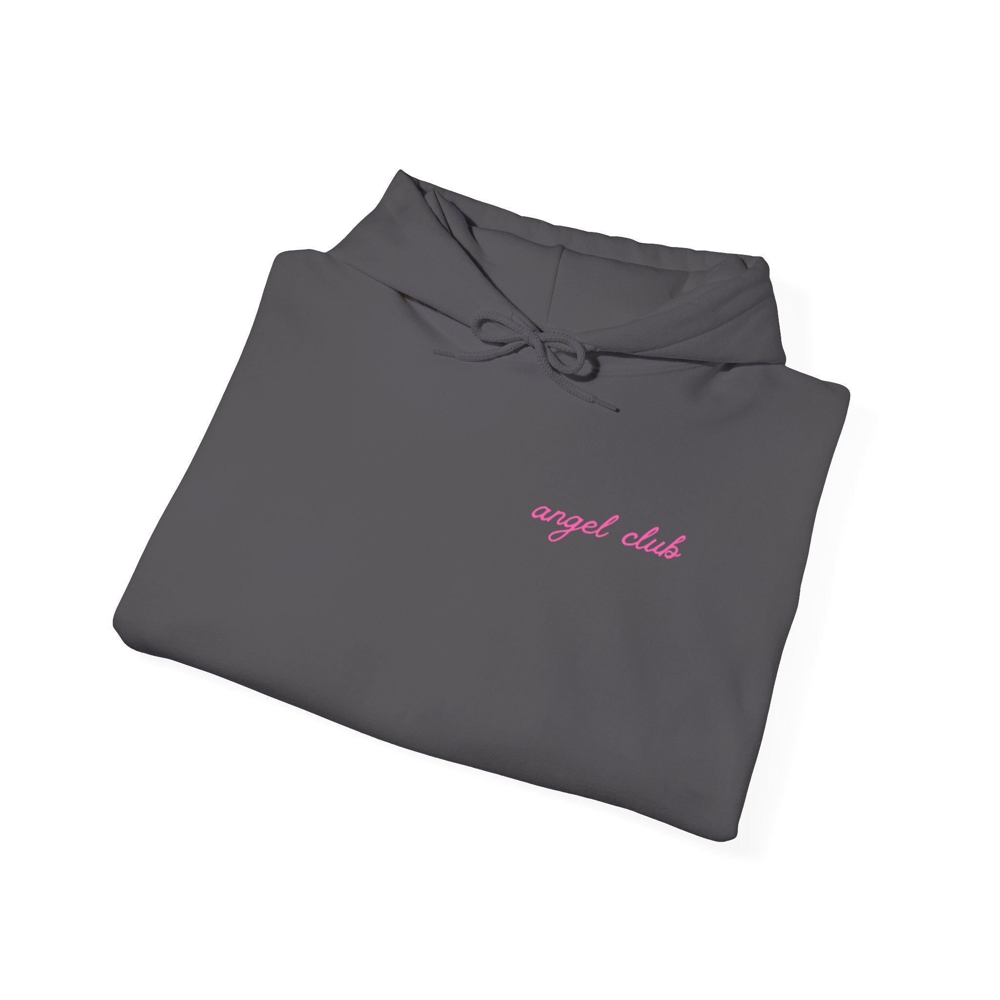 HEAVEN SENT Hoodie