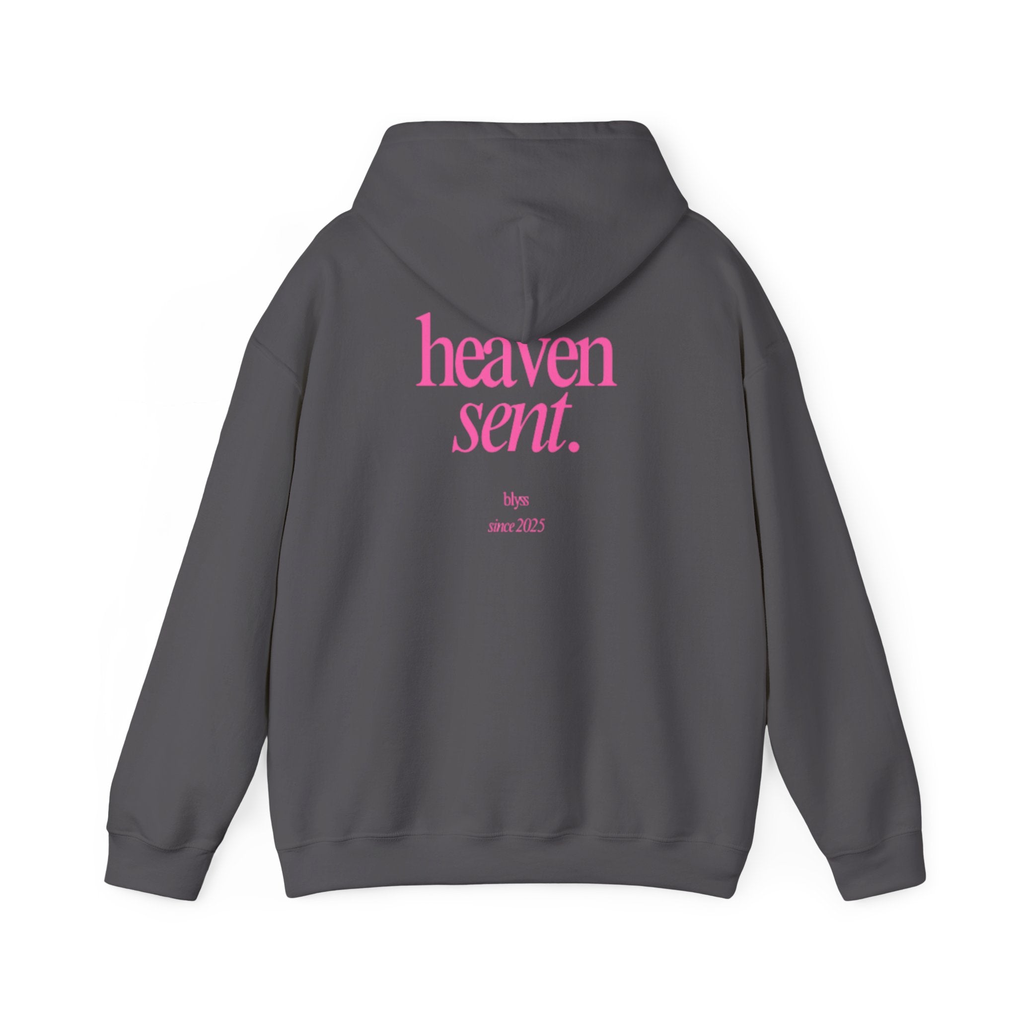 HEAVEN SENT Hoodie