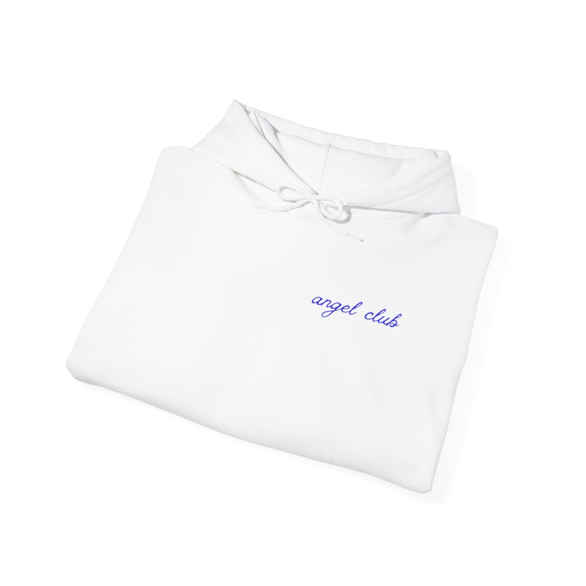 HEAVEN SENT Hoodie