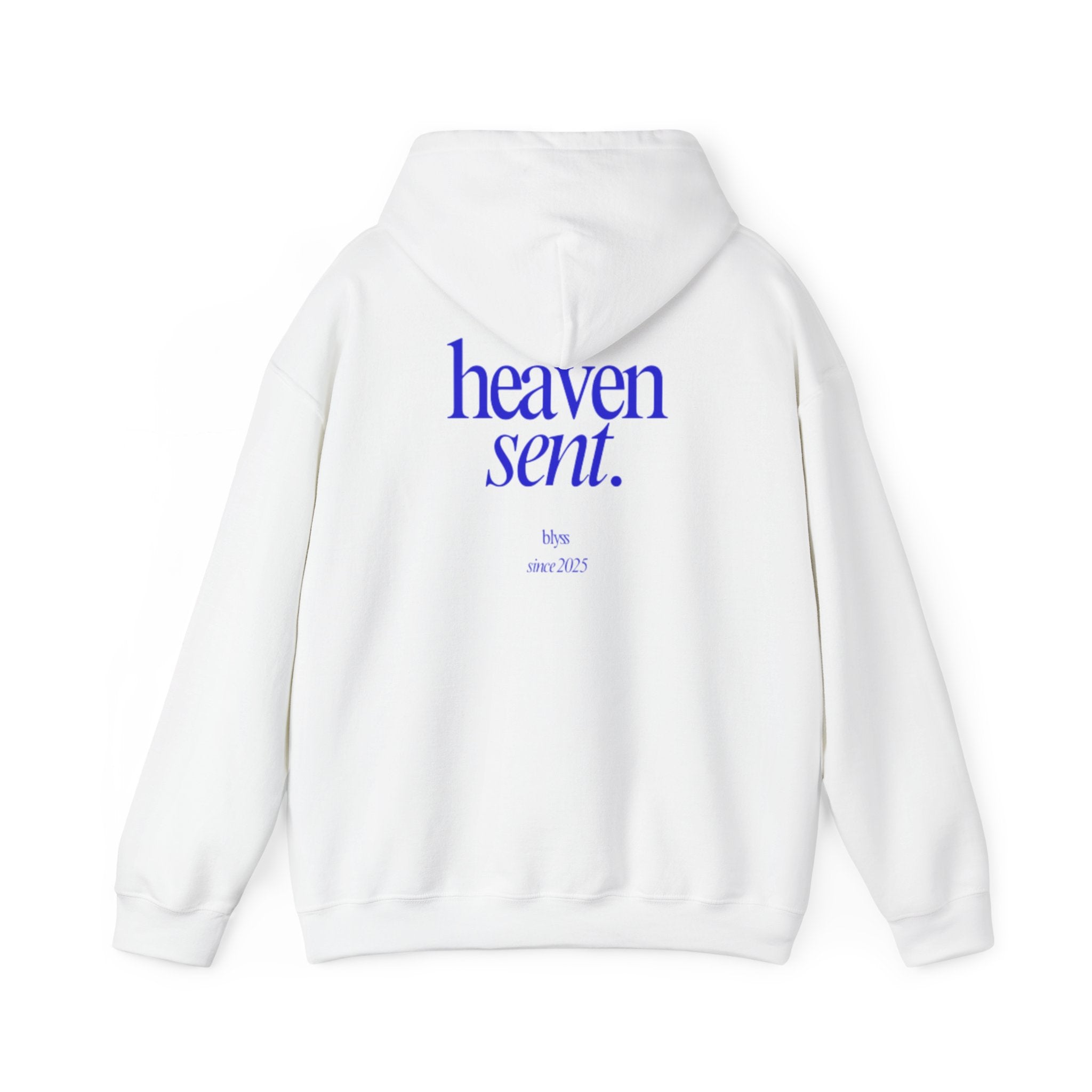 HEAVEN SENT Hoodie