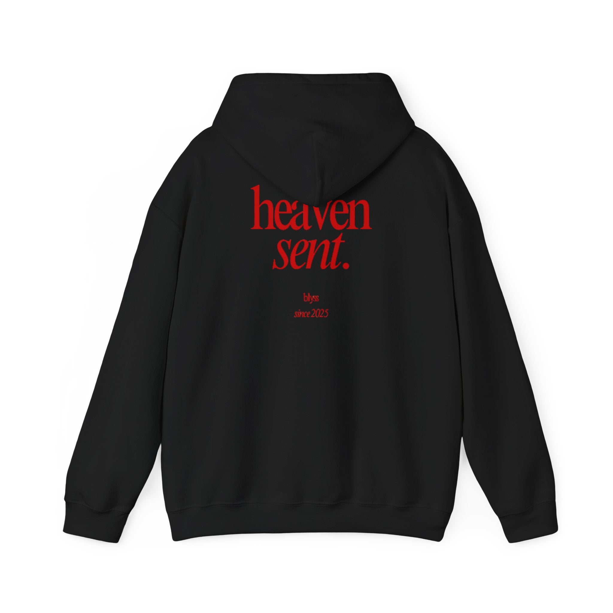 HEAVEN SENT Hoodie