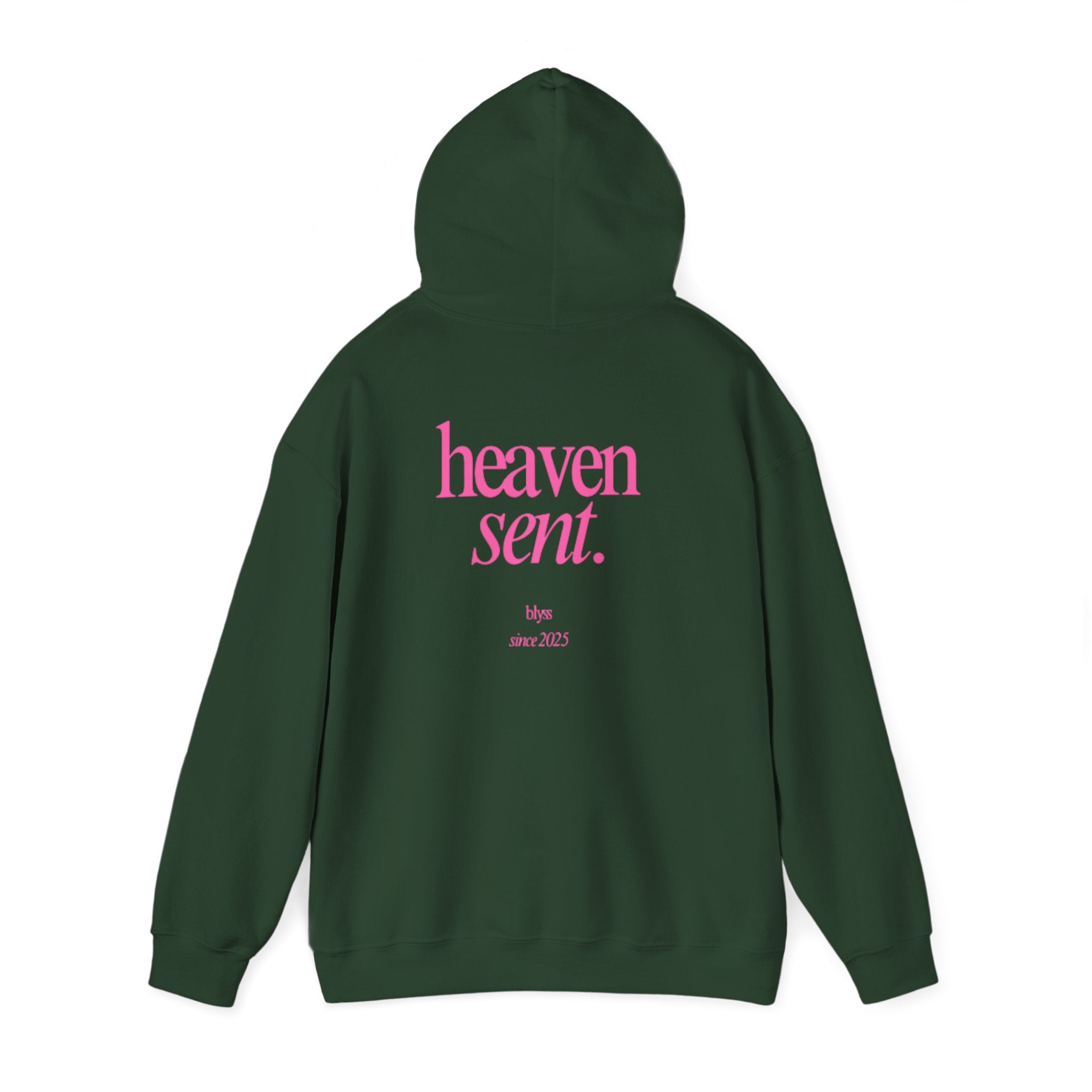 HEAVEN SENT Hoodie