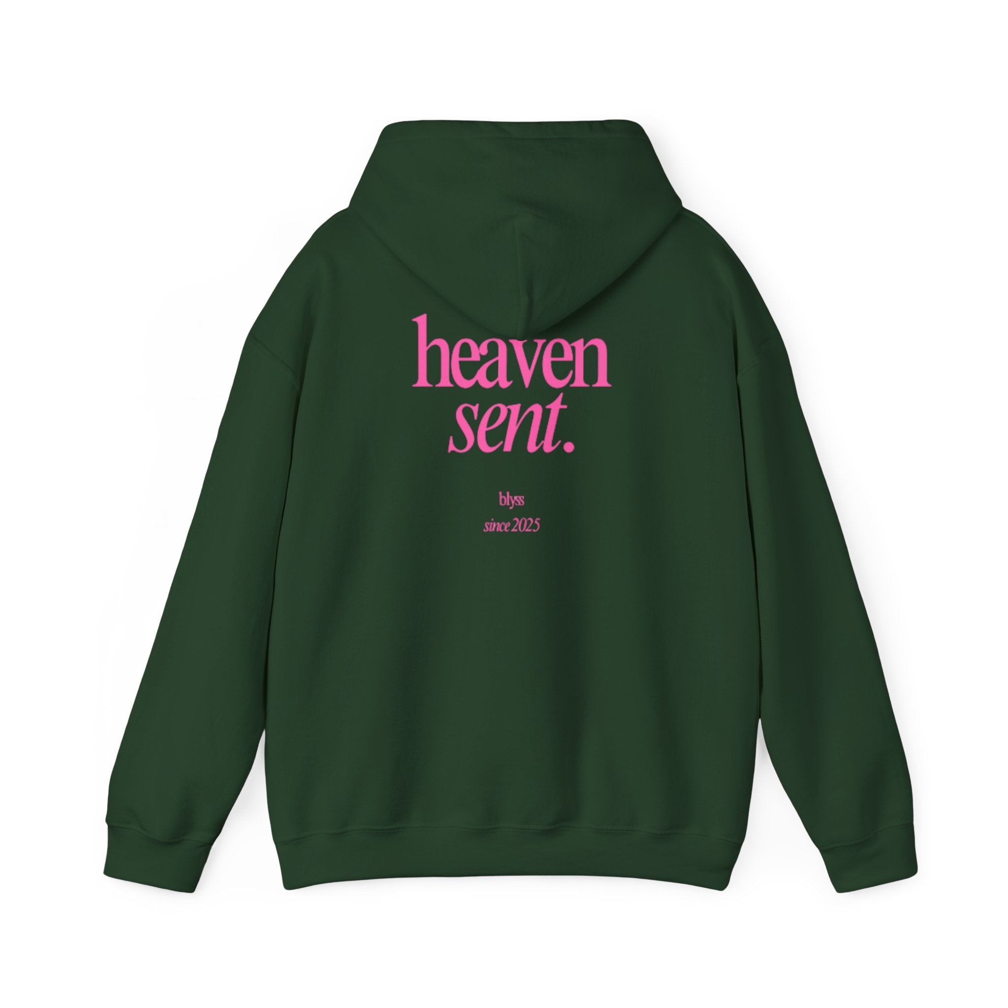 HEAVEN SENT Hoodie