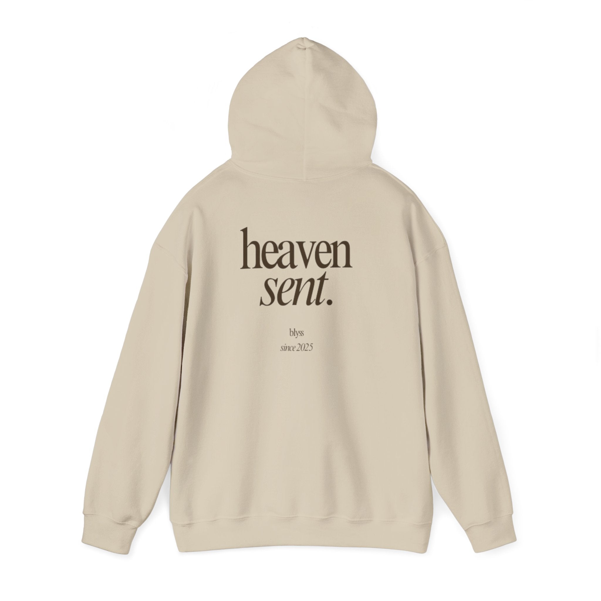HEAVEN SENT Hoodie