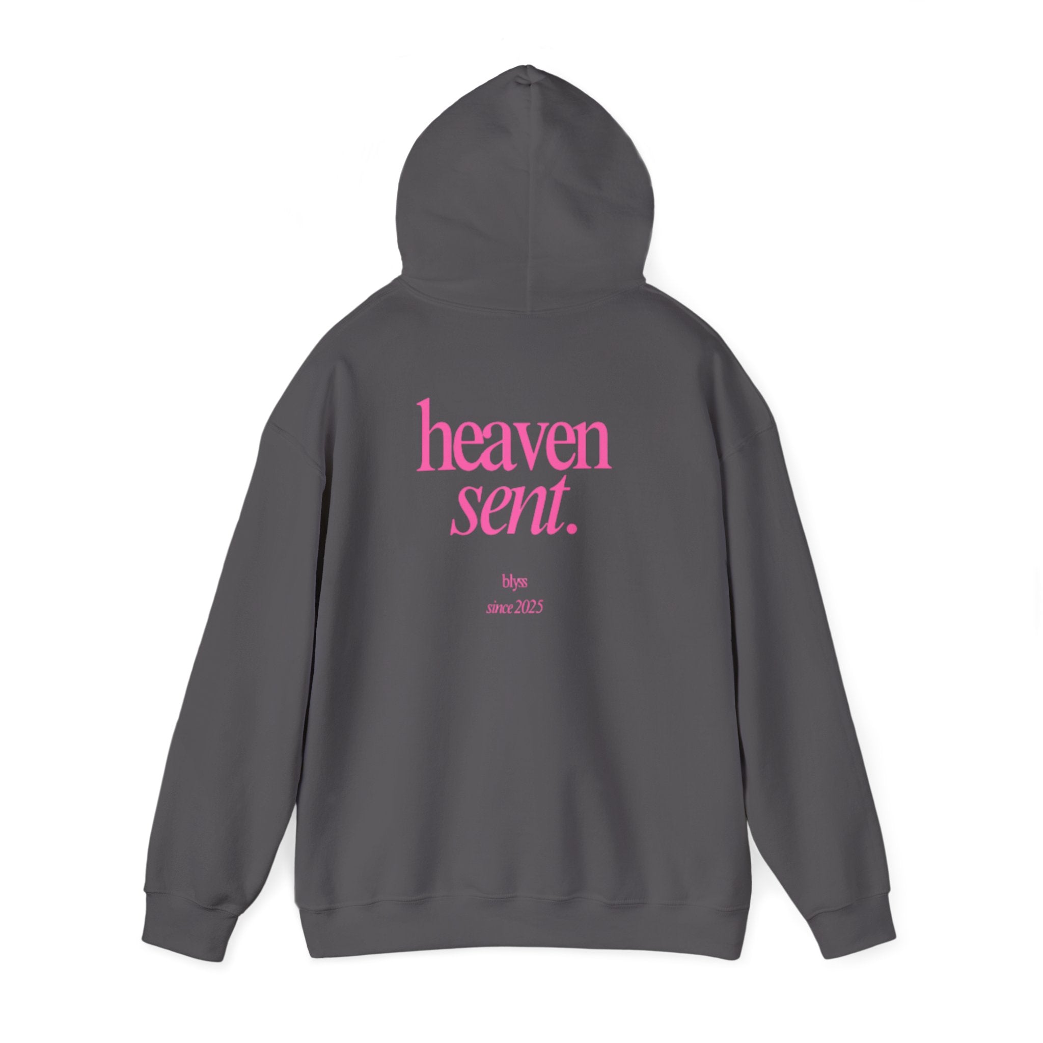 HEAVEN SENT Hoodie