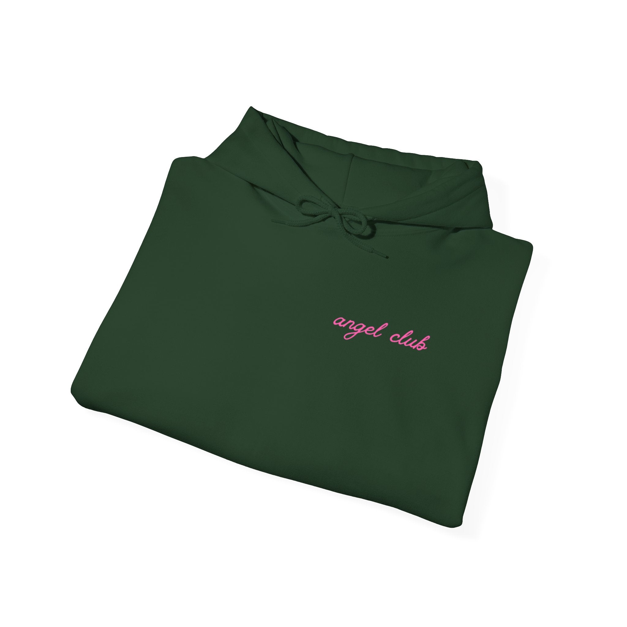 HEAVEN SENT Hoodie